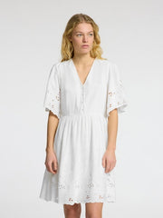 Selected DAHLIA  Bright White