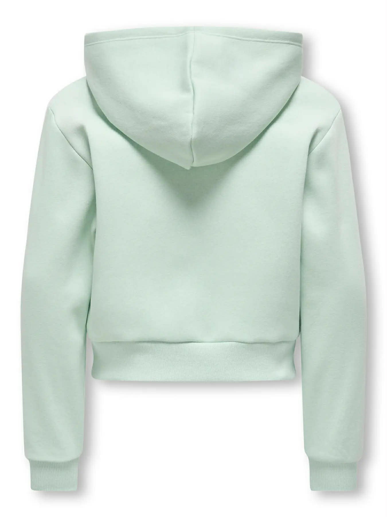 SWEAT L/S HOODIE ZIP SWT Aqua Foam