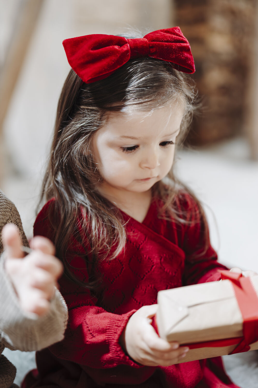 Fannie Hårbøyle Bow Red