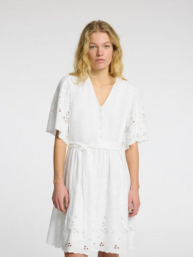 Selected DAHLIA  Bright White