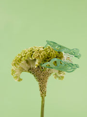 Name it Kayla Hairclaw Margarita