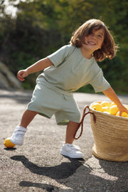 Gullkorn Svalen Sommer Sett Lys Sjøgrønn