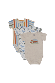 Hust and Claire Bruno SS Body Stripe 3pk