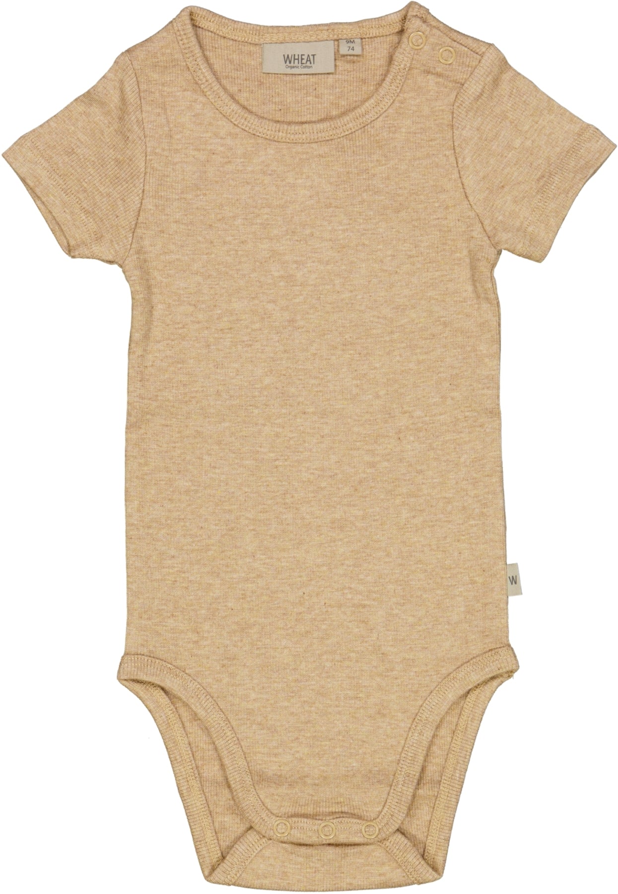 Wheat Rib Lace SS Body Sand Melange